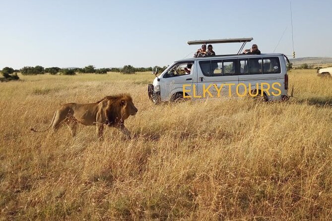 Elkydianibeachtaxis - Private Tour Experience