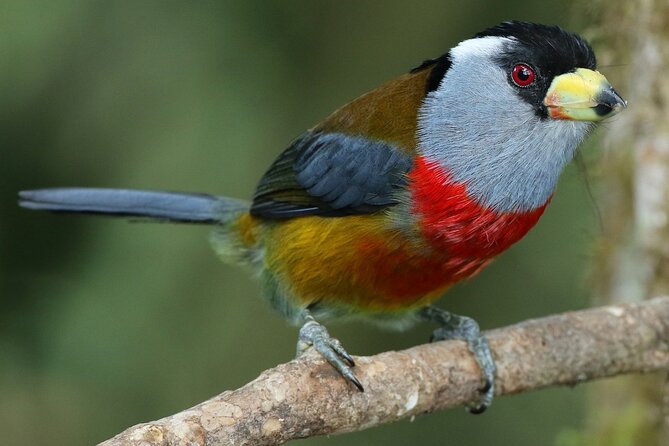 Enjoy The Beauty Of The Birds Of The Northwest - Schedule