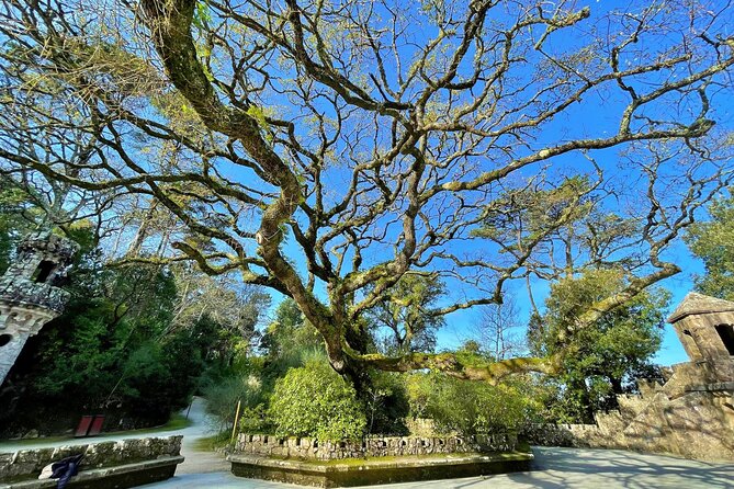 Esoteric Journey Through the Park and Palace of Regaleira - Exploring the Symbolic Structures