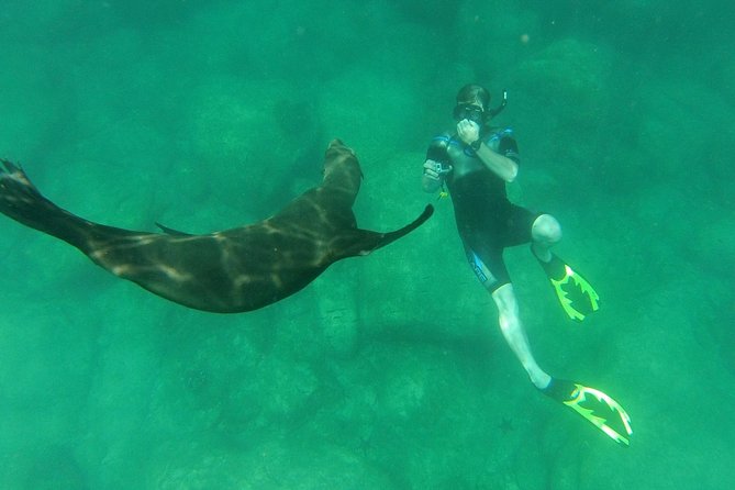 Espiritu Santo Island Snorkel & Sea Lion Adventure - Accessibility and Requirements