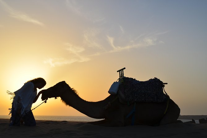 Essaouira: 1/2 Day Camel Ride With Meal. - Traveler Feedback and Experiences