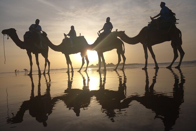 Essaouira: 3-Hour Camel Tour - Pricing and Availability