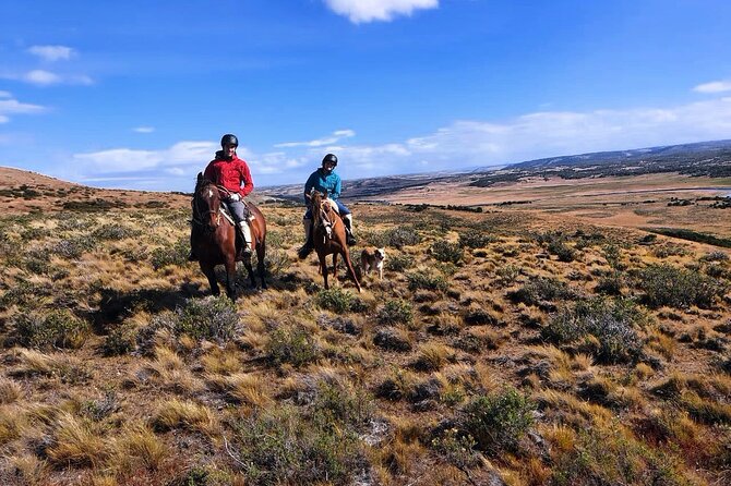 Estancia, From the Commune of Laguna Blanca - Exploring the Ranching Museum