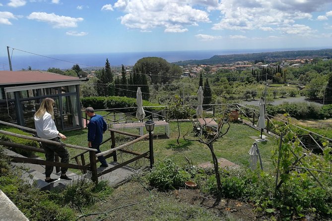 Etna and Wines Tour - Exploring Mount Etna