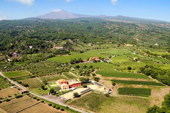Etna DOC & Organic Wine Tasting and Tour of the 1815 Historic Winery - Underground Wine Cellar