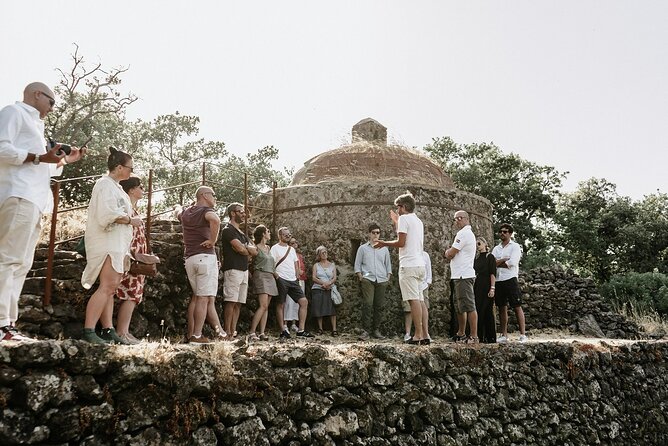 Etna Urban Winery Morning Vineyard Walk and Tasting - Exploring the Historical Palmento