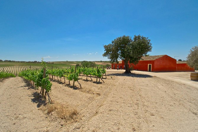 Etna Wine & Food Volcanic Week Grand Tour (Private) - Tour Features