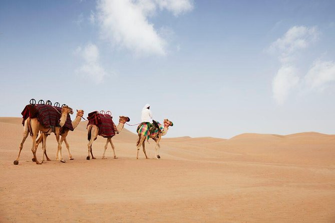 Evening Abu Dhabi Desert Safari & BBQ Dinner- Standard Tour - Dune Bashing Adventure