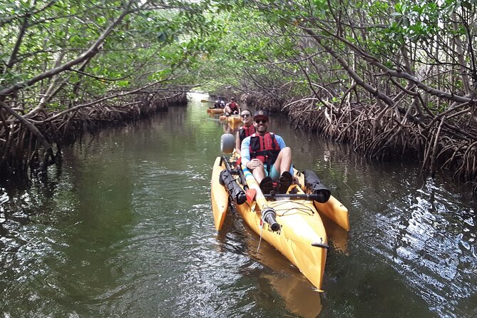 Everglades National Park Kayak/Learn to Sail Tour - Lunch on a Private Beach