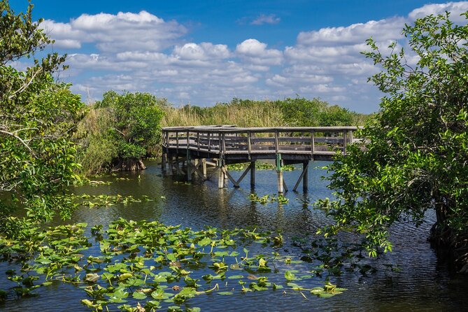 Everglades National Park Self Guided Driving Audio Tour - Meeting Points and Logistics