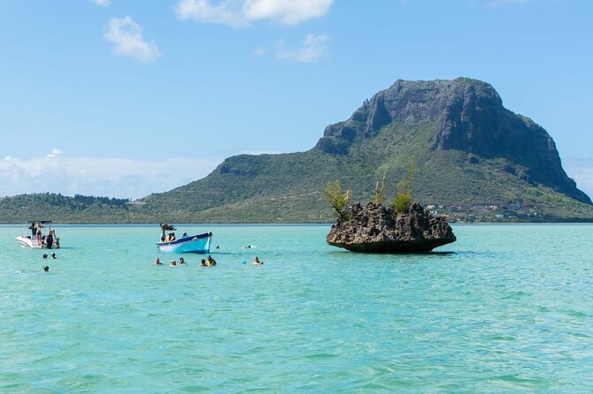 Exciting Dolphin Encounters in the Maurtiuss Lagoon - Schedules and Availability