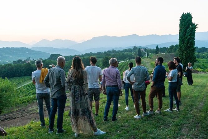 Exclusive Tour of the Vineyards With Visit to the Cellar! - Meeting Point and Duration