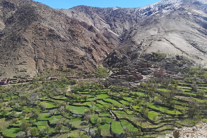 Excursion to the Atlas Mountain From Marrakech - Dietary Options and Requirements