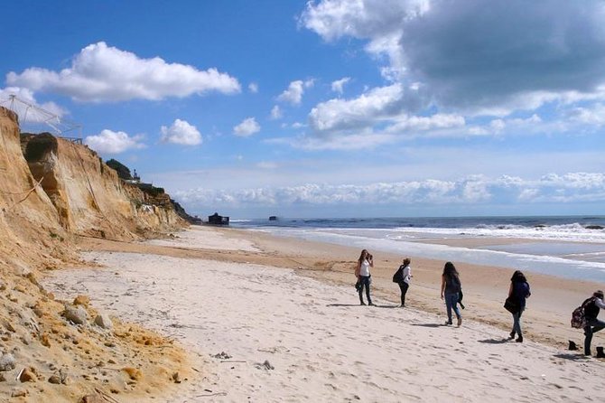 Excursion to the Beaches of Huelva From Seville - Private Tour - Reviews and Experiences