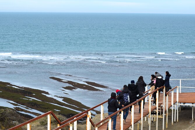 Excursion to the Valdés Peninsula From Puerto Madryn - Enjoying the Brunch Included