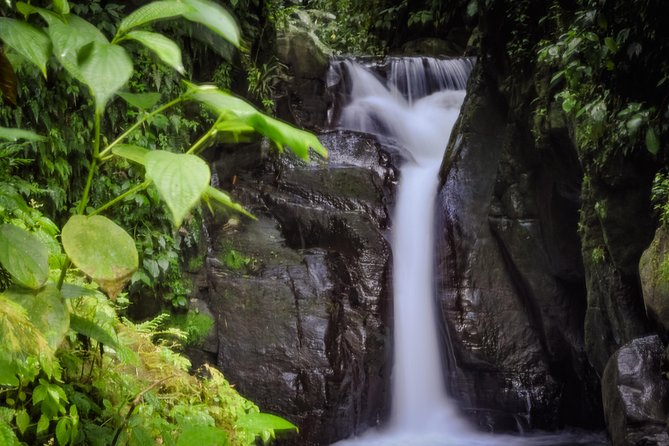 Excursions in the North or in the South of Martinique - Meeting and Pickup Arrangements