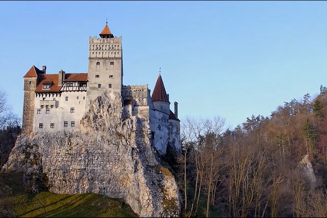 Executive Dracula Day Trip - See Bran & Peles Castle, Brasov From Bucharest - Transportation and Accessibility