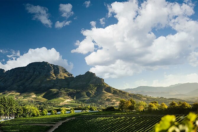 Experience 16 Wine Tasting & 6 Cheese Pairing Across 3 Vineyards - Wine Tasting Details