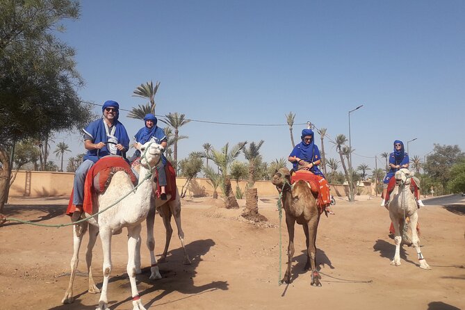 Experience Camel Ride Sunset or Anytime - Inclusions and Highlights