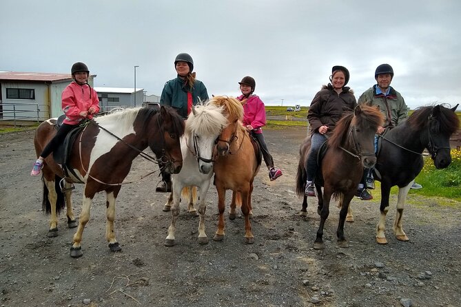 Experience Countryside of Iceland by Horseback Riding - Meeting and Pickup