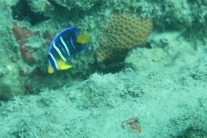 Experience Peanut Island Adventures - Recommended Gear and Accessories