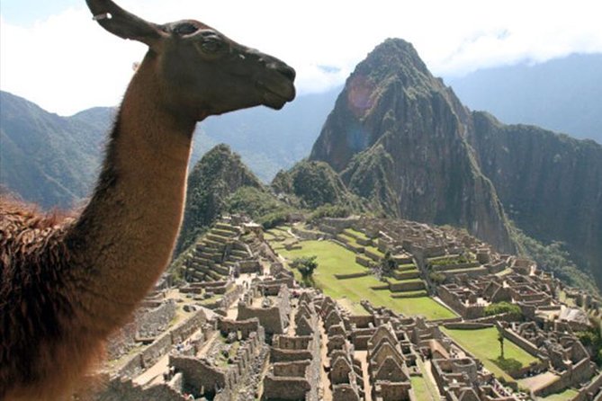 Explore Machu Picchu in 1-Day By Train - Tour Reviews