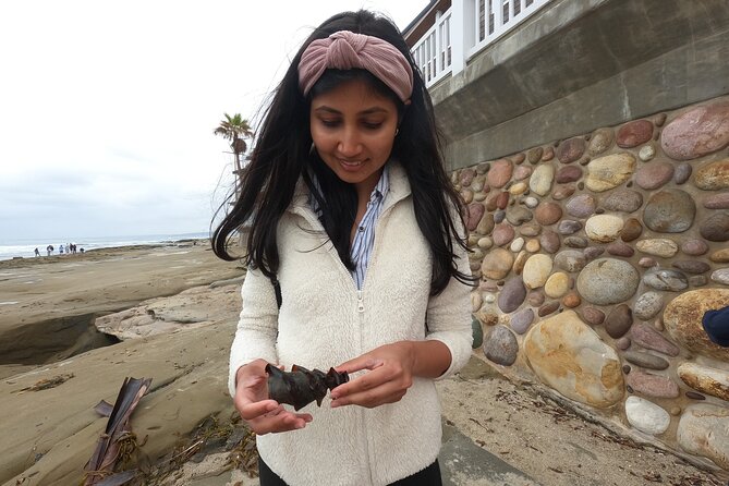 Explore San Diego Tide Pools With a Marine Biologist - Customer Experiences and Feedback
