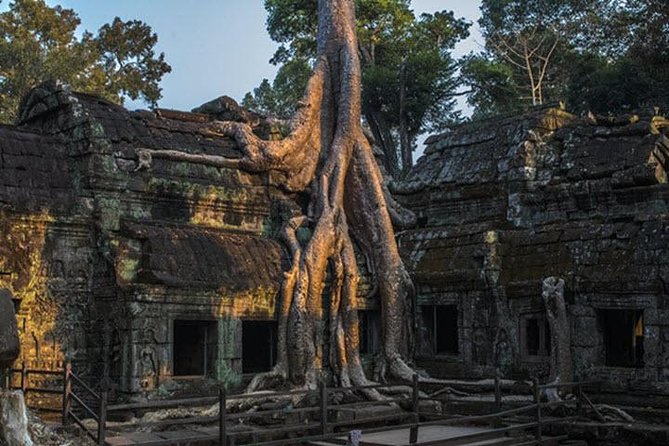Exploring Angkor Wat Sunrise Tour-Small Group - Important Tour Information