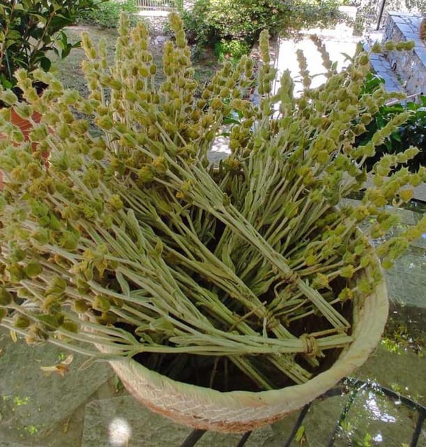 Exploring Herbal Treasures: A Guided Herbal Walk on Pelion - Guided Walk Details