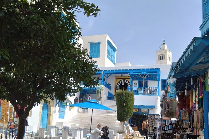 Exploring Tunis: Historic Medina and Charming Sidi Bou Said - Tour Inclusions and Logistics