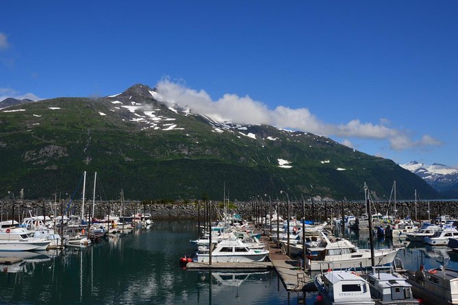Exquisite Wildlife & Wilderness Photo Tour Anchorage -Whittier - Personalized Traveler Experience