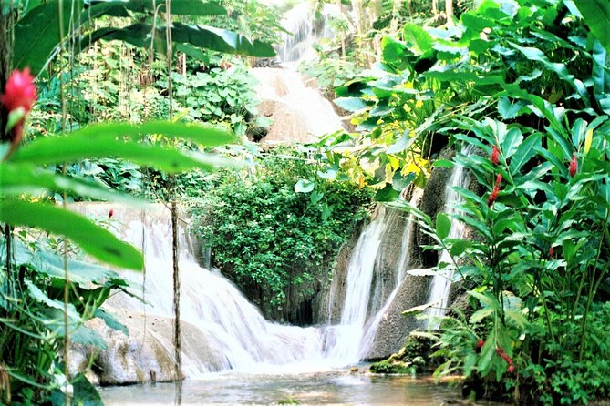 Falmouth Shore Excursion: Dunns River Falls Express Plus Souvenir Shopping - Additional Information