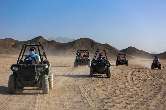 Family Or Double Buggy Safari & Bedouin Village in Sharm - Customer Reviews