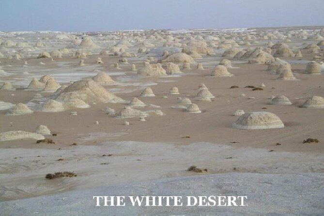 Fantastic Overnight White Desert and Baharya Oasis - Accommodations and Amenities