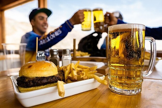 Farellones Ski Center Private Picnic in the Andes Mountains - Final Verdict On This Stay