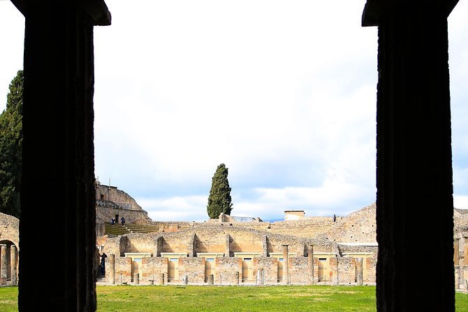 Fast Access Exclusive Private Ancient Pompeii Herculaneum & Oplontis Guided Tour - Viator Help Centre Assistance