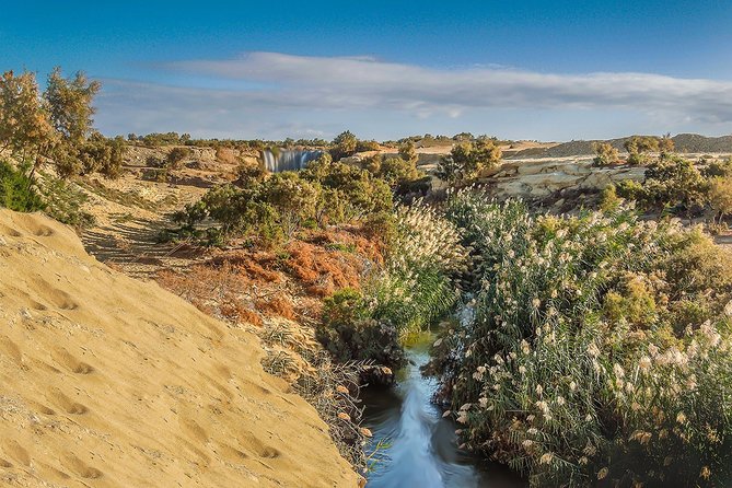 Fayoum Oasis Tour to Karanis, Qarun Lake, Wadi El Rian Waterfalls - Inclusions and Amenities for a Seamless Experience