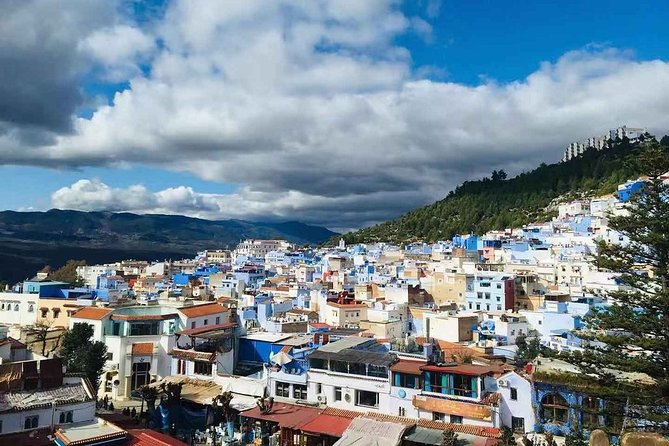 Fes to Chefchaouen Day Trip - Insights Into Berber Culture