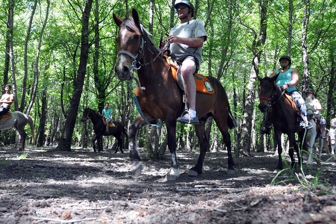 Fethiye Horse Riding Experience With Free Hotel Transfer Service - Pickup Information