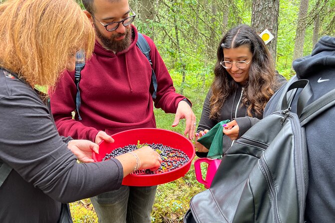 Finland Liesjarvi National Park Wild Berry Foraging Adventure  - Helsinki - Pickup Details