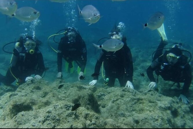 First Time Scuba Dive Adventure, Makronissos, Ayia Napa - Exploring Underwater Marine Life