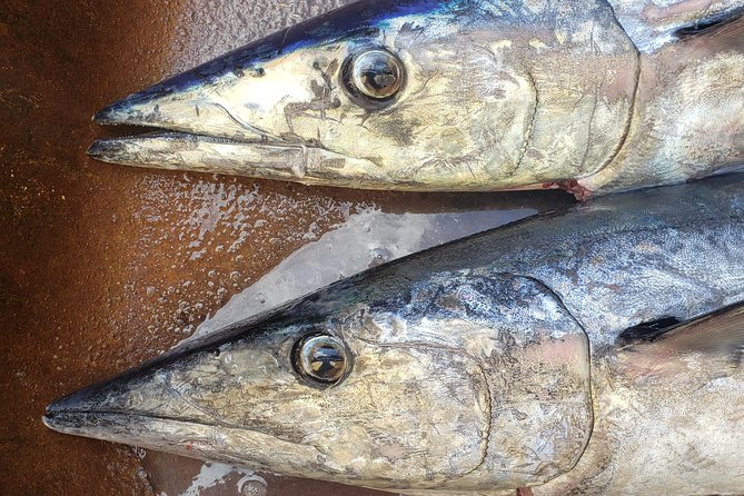 Fishing Charter 8 Hours - Expectations and Accessibility