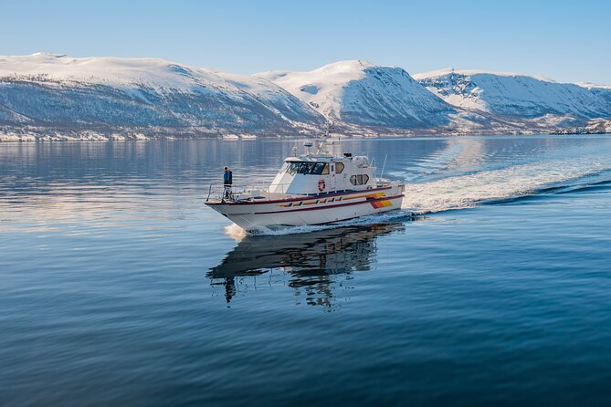 Fjord Safari in the Altafjord - Safety Measures