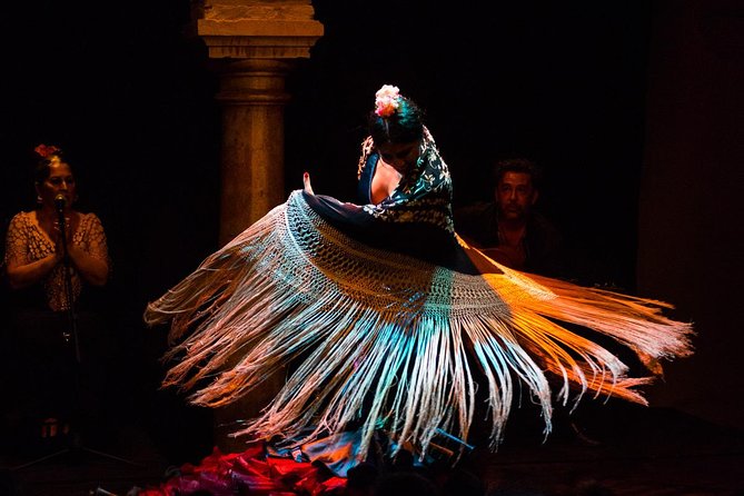 Flamenco Show "Museum of Flamenco Dance" - Highlighting the Flamenco Experience