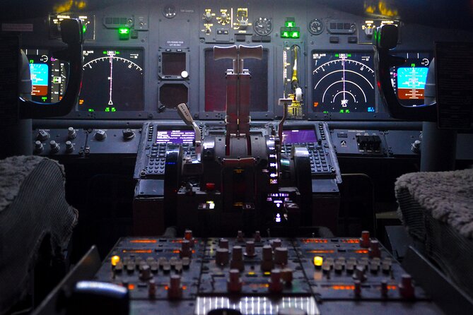 Flight Simulation Experience - Accessibility and Participation