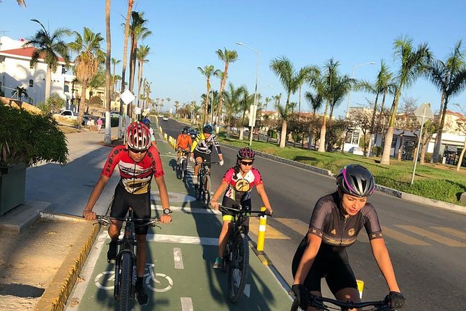 Following the Bike Lane, Discover the Main Attractions of San José Del Cabo - Participant Requirements