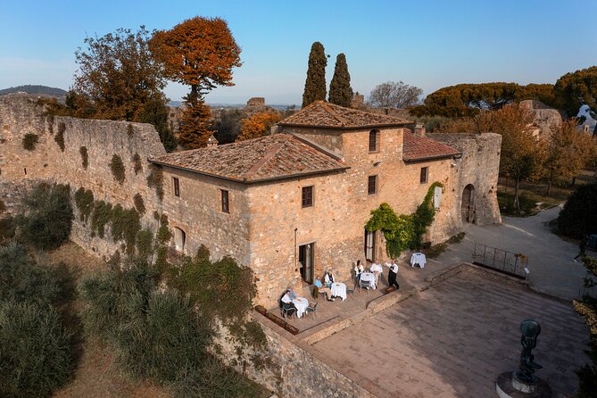 Food and Wine Lesson and Wine Tasting in San Gimignano - Access to Culinary Delights