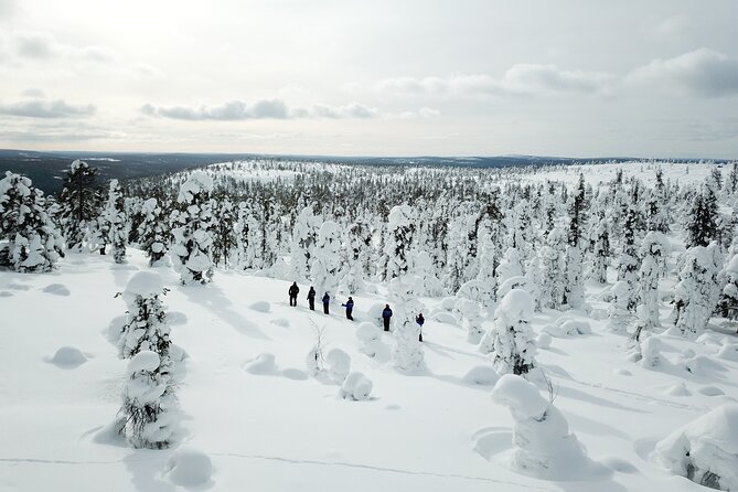 Forest Skiing in Nature - Hot Chocolate and Marshmallows