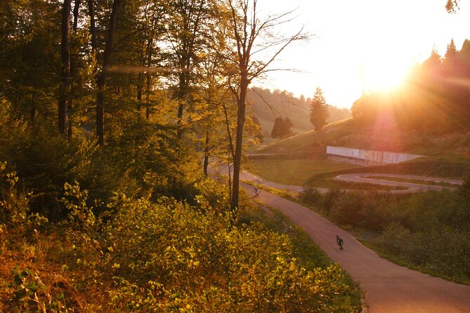 Forest Trails & Legends: Rasnov Hike to Breathtaking Views - Reviews Highlight Knowledgeable Guides