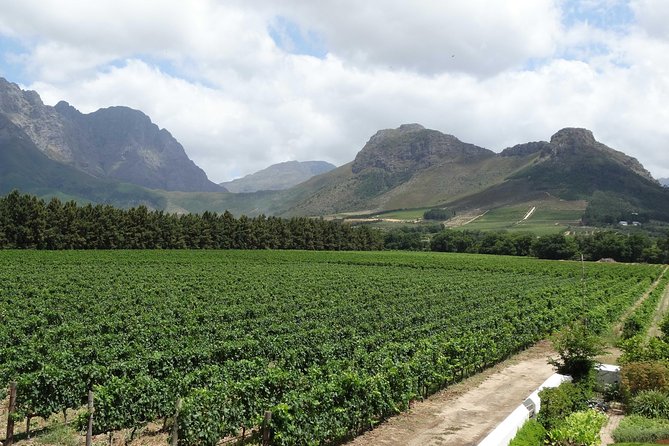 Franschhoek Half Day Winelands Cycle Tour - Inclusions and Amenities